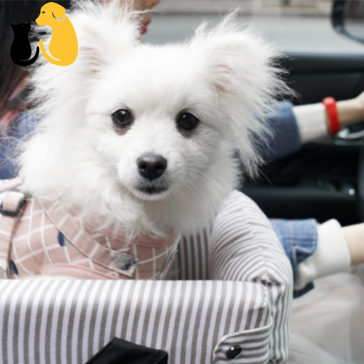 50% OFF| PET SAFETY BOOSTER SEAT