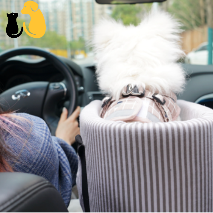50% OFF| PET SAFETY BOOSTER SEAT