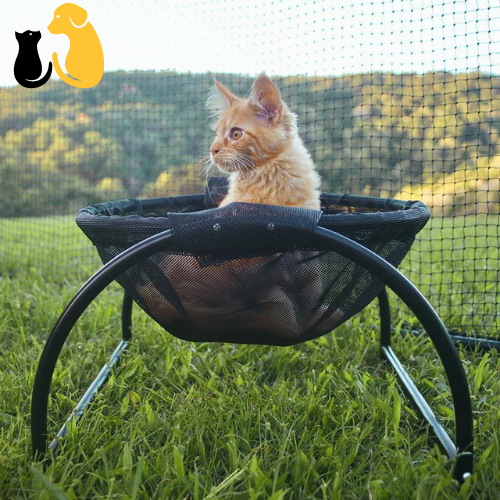 50%OFF| SKYWALKS FLOOR CAT HAMMOCK - WITH STAND