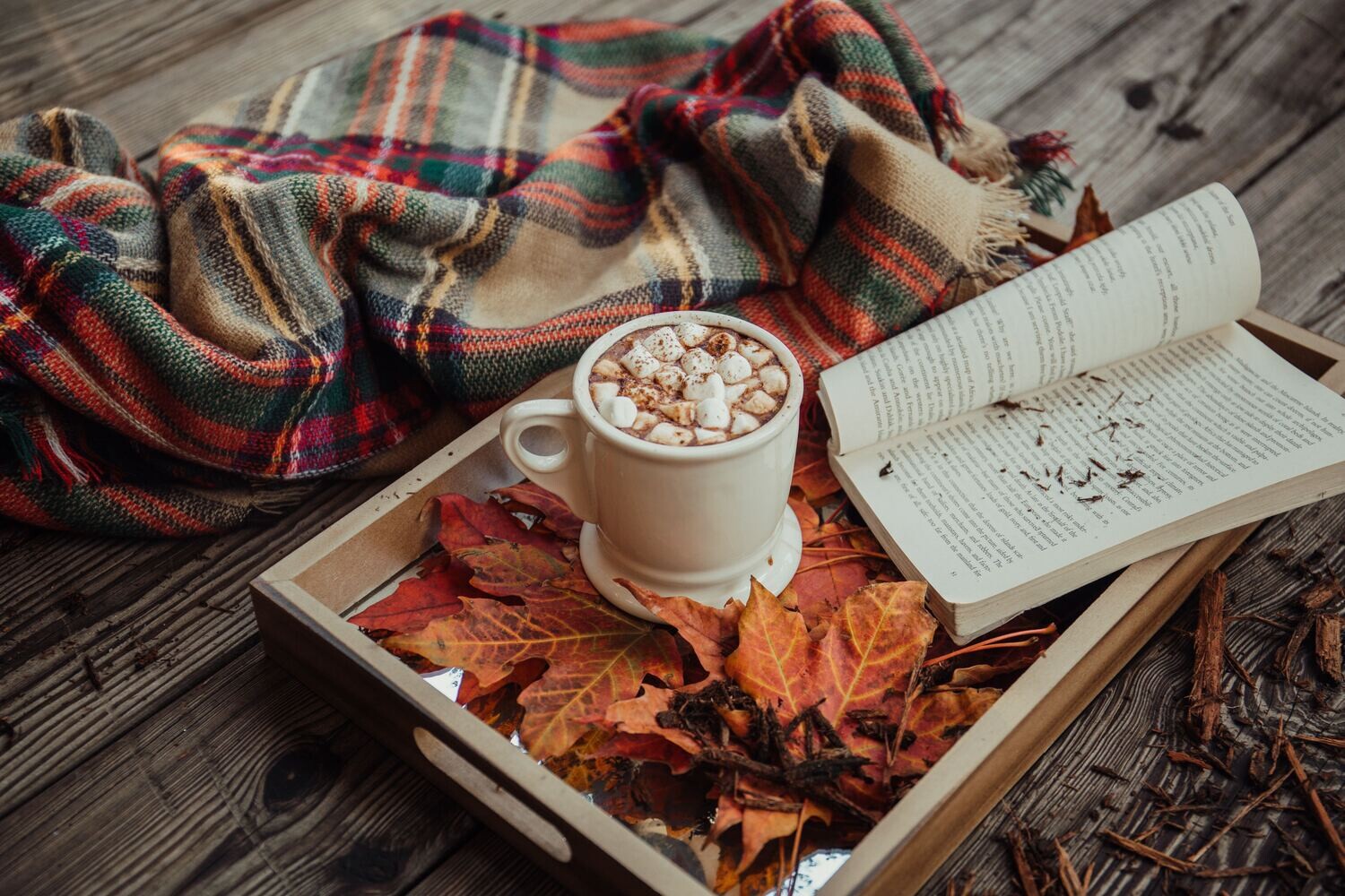 SOAP - Cozy Flannel