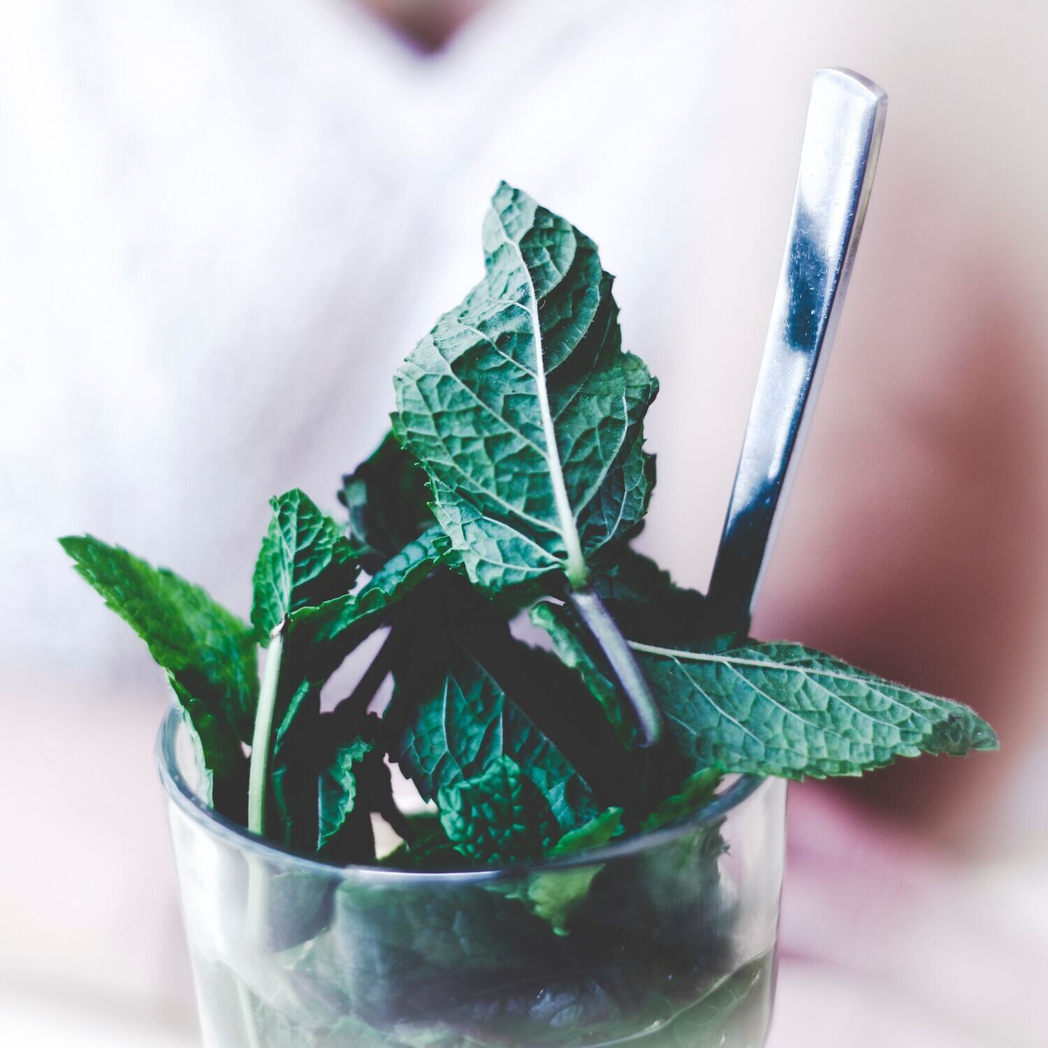 SOAP - Peppermint Tea Tree
