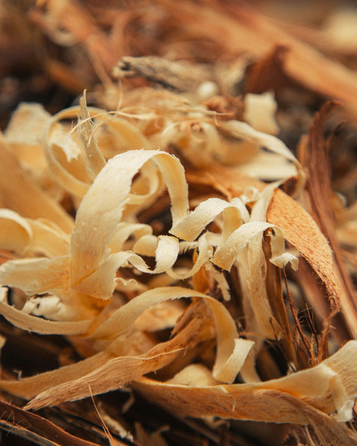 Bath Salts - Patchouli Cedarwood