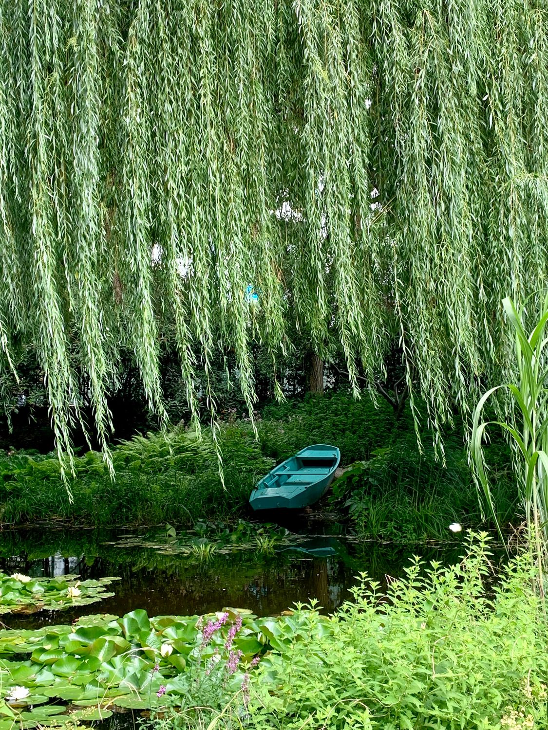 SOAP - Willow &amp; Ivy