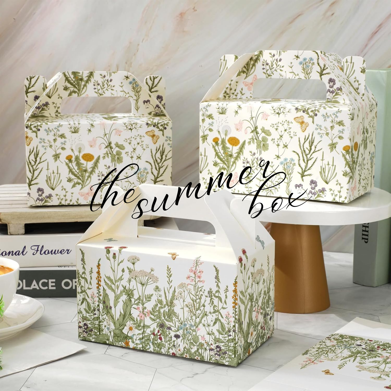 The Summer Box