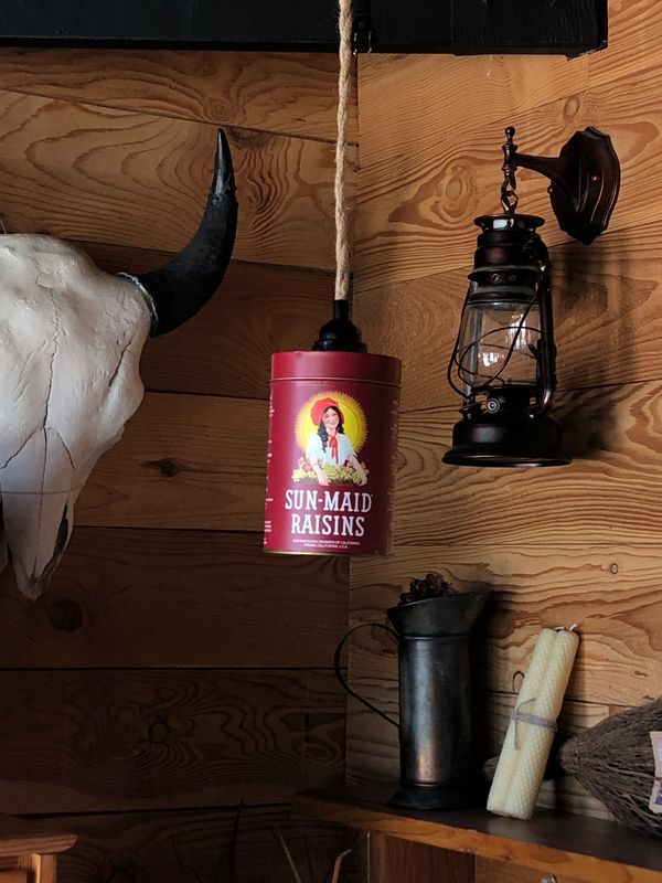Sun Maid Raisins Pendant Light