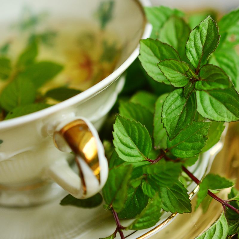 Peppermint Loose Tea