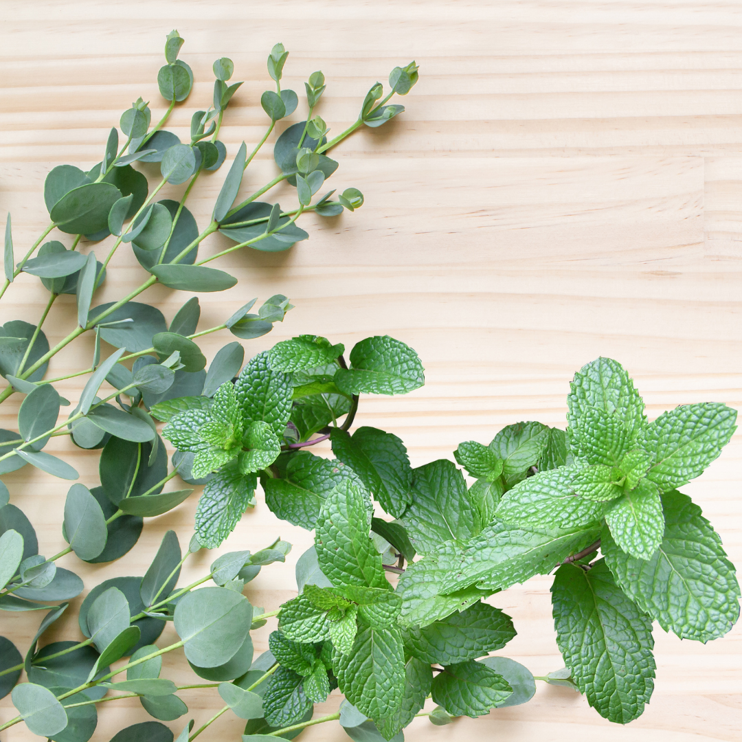 Bath Salts - Eucalyptus Mint