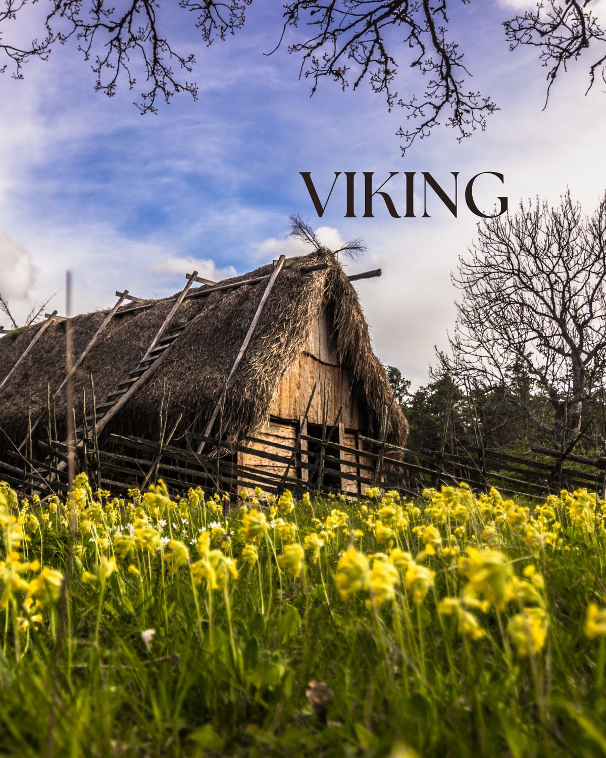 SOAP - VIKING