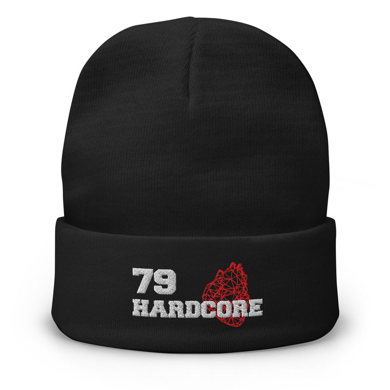79 "Embroidered Beanie"