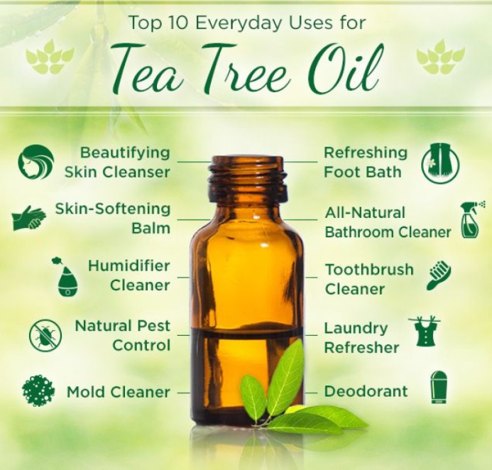 Organic Tea Tree Oil - 30ml