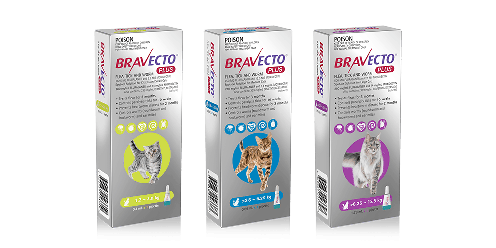 Bravecto Plus Feline- Spot On
