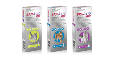 Bravecto Plus Feline- Spot On