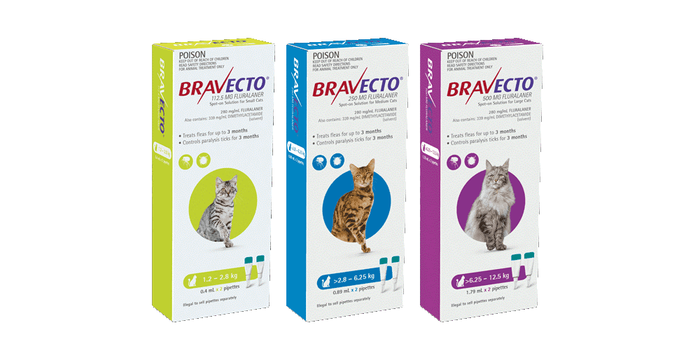 Bravecto Feline- Spot On