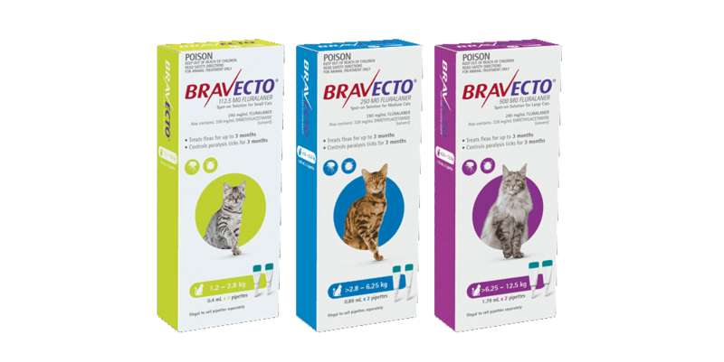 Bravecto Feline- Spot On Bravecto Feline- Spot On