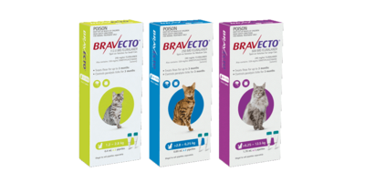 Bravecto Feline- Spot On Bravecto Feline- Spot On