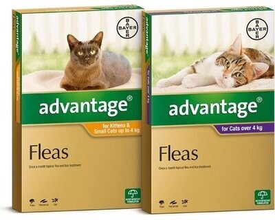 Advantage Cat Advantage Cat