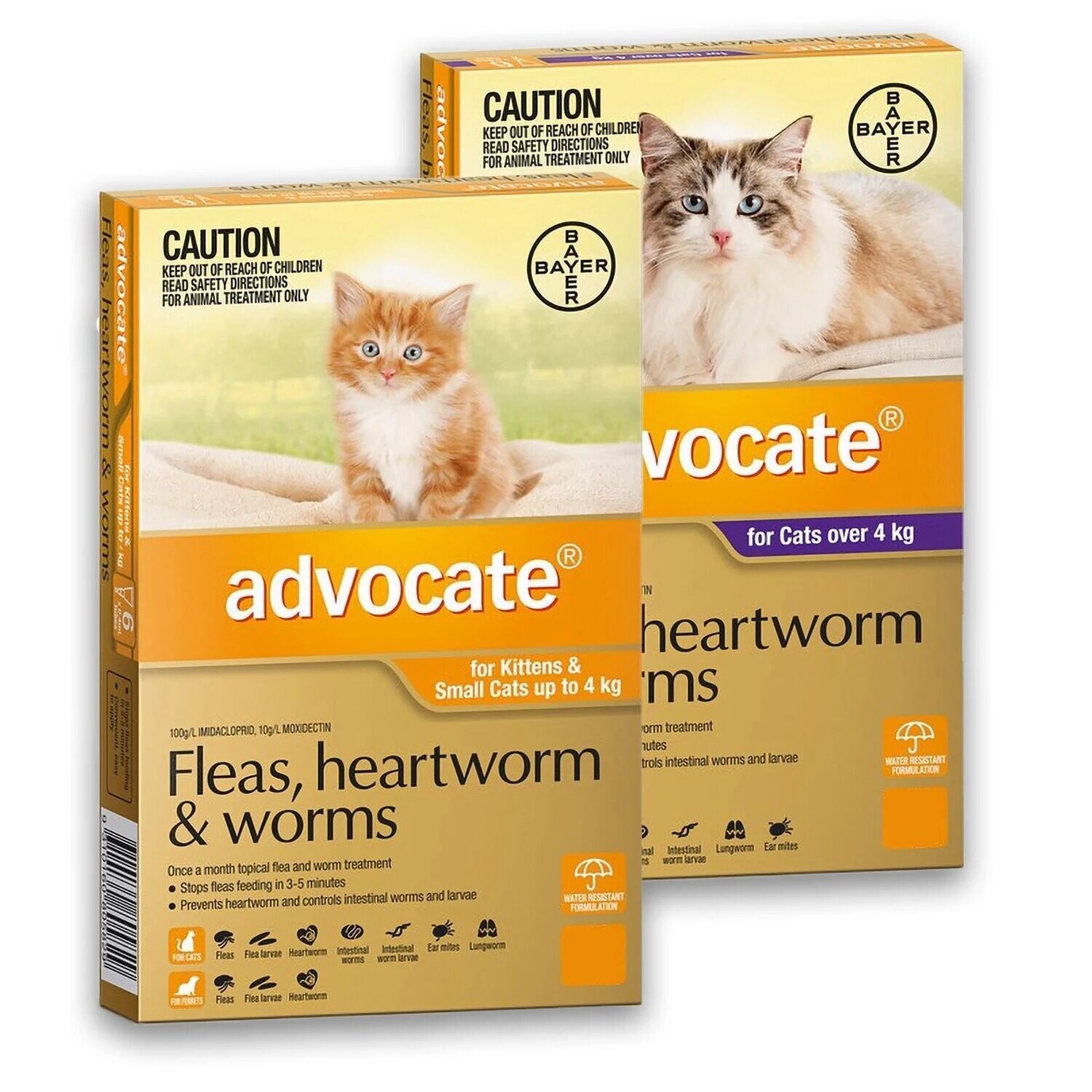 Advocate Cat