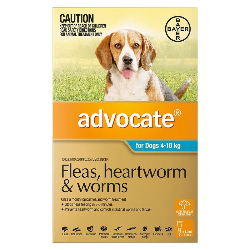 Advocate Dog