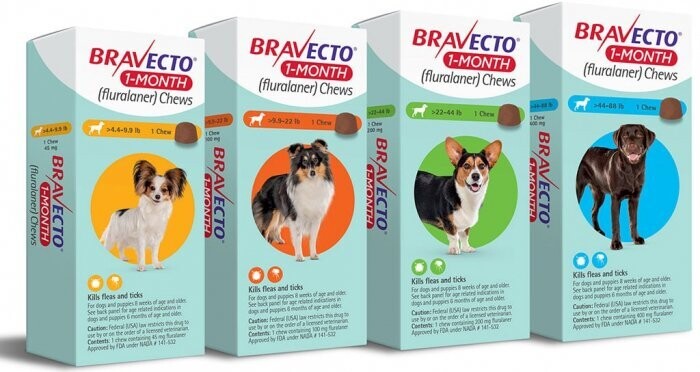 Bravecto Chewable - 1 Month