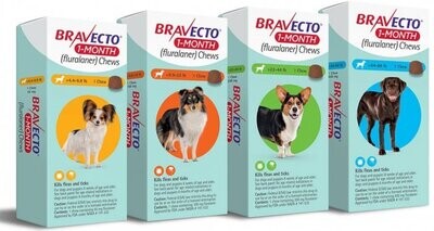 Bravecto Chewable - 1 Month