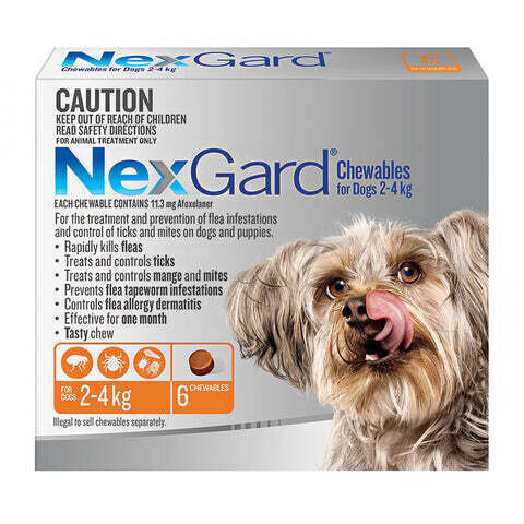 Nexgard single dose sales