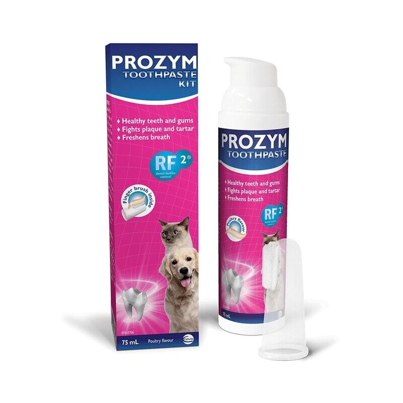Prozym Toothpaste Kit
