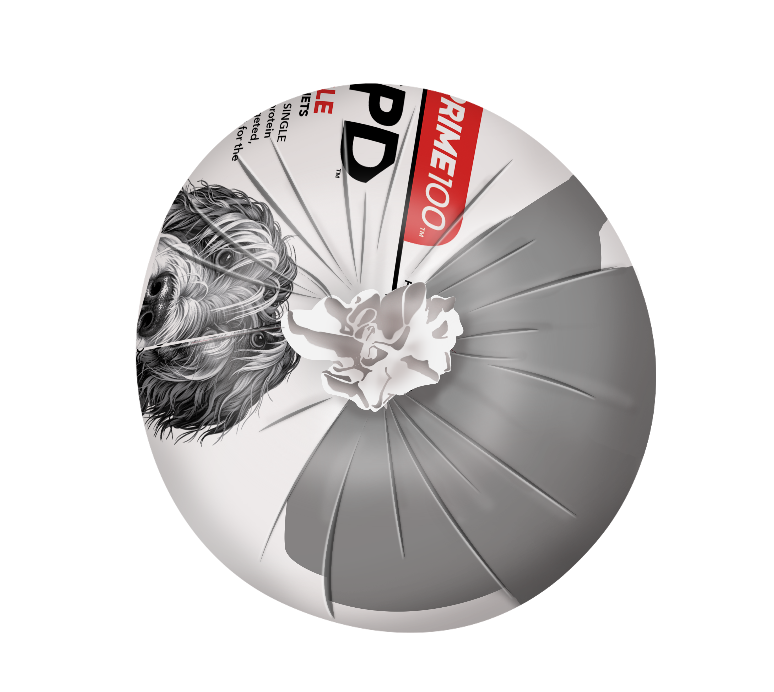 Prime100 Kangaroo and Potato