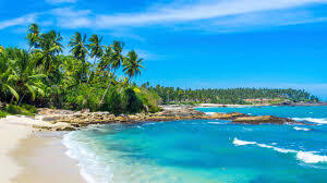 Create the trip of my dreams