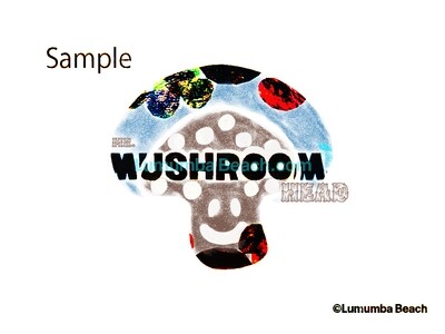 Mr Mushroom Head
