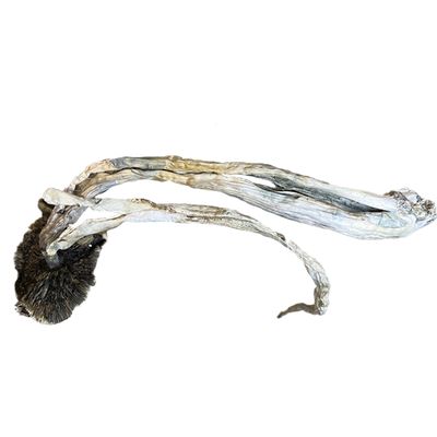 ORISSA INDIA aka INDIA ORISSA  (4g/45, 8g/85, 16g/$160, 32g/$280