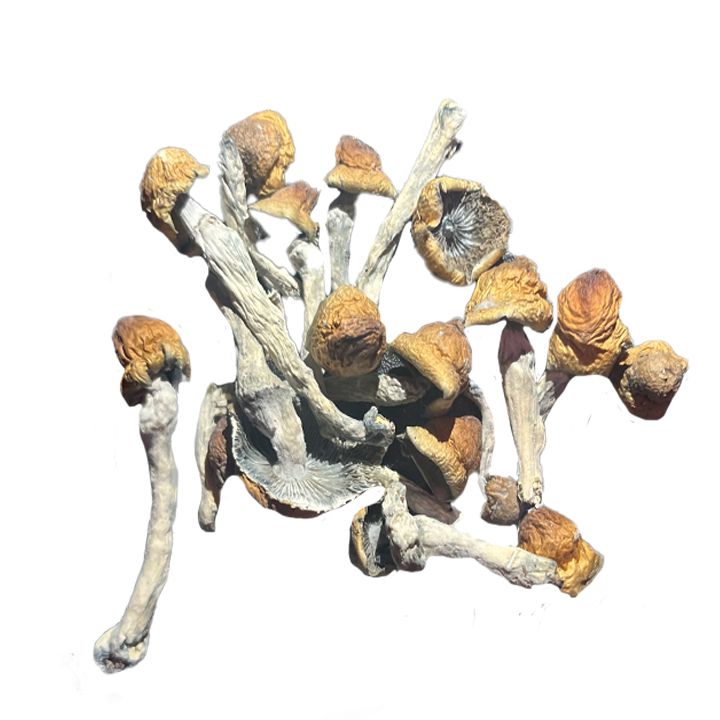 🎁OLD DIRTY PENIS ENVY(ODPE), Size: 4grams, 🎁 Digital Art: Frosty The Sunny man in the bubble