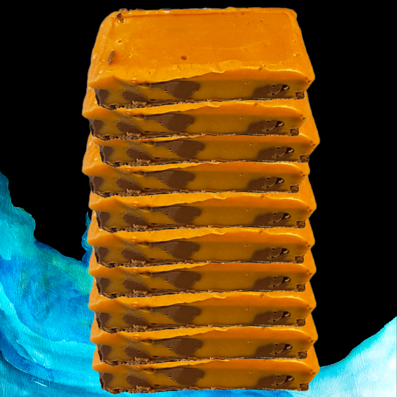 &quot;CHOCOLATE BARS&quot; 10 for $200  (1g mushroom = Great 2 servings x 10)