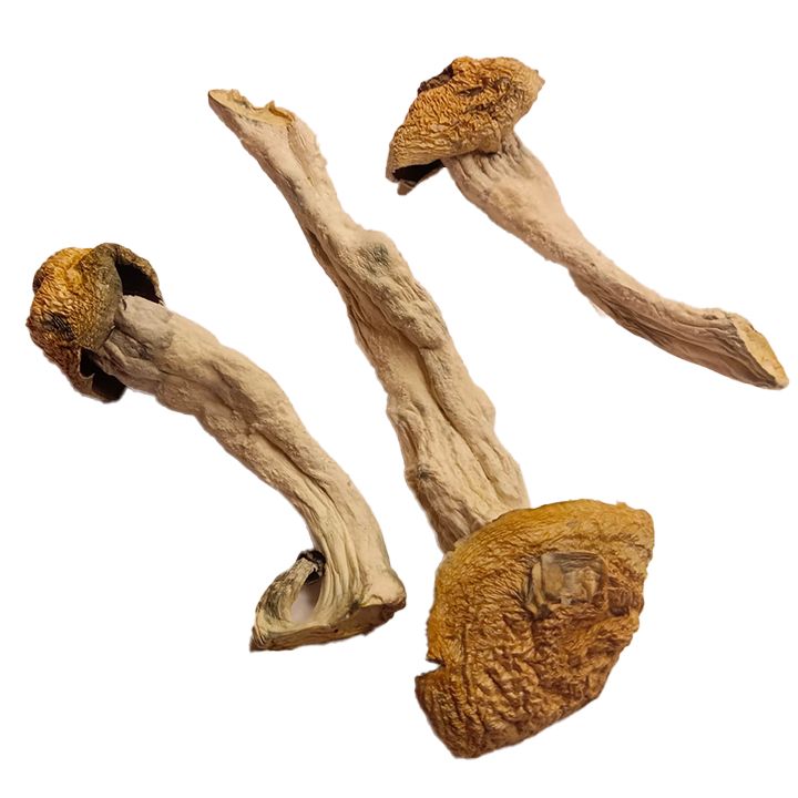 SOL MAC (PENIS ENVY) 4g/$45, 8g/$85, 16g/$160