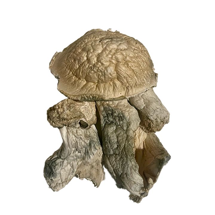Ghost APE (PENIS ENVY) 4g/$45, 8g/$85, 16g/$160, 32g/$280, Size: 4grams