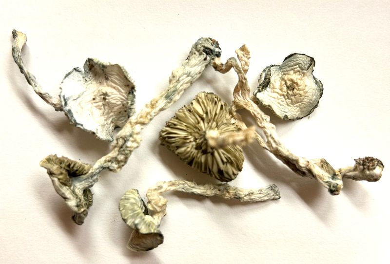 Albino Jedi MindFucks 4g/$45, 8g/$85, 16g/$160, 32g/$280
