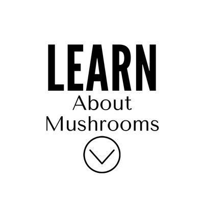Learn about mushrooms