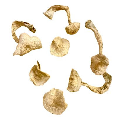 🎁 COLUMBIAN GOLD