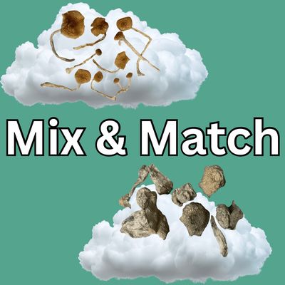 MIX &amp; MATCH | Digital Art x 2