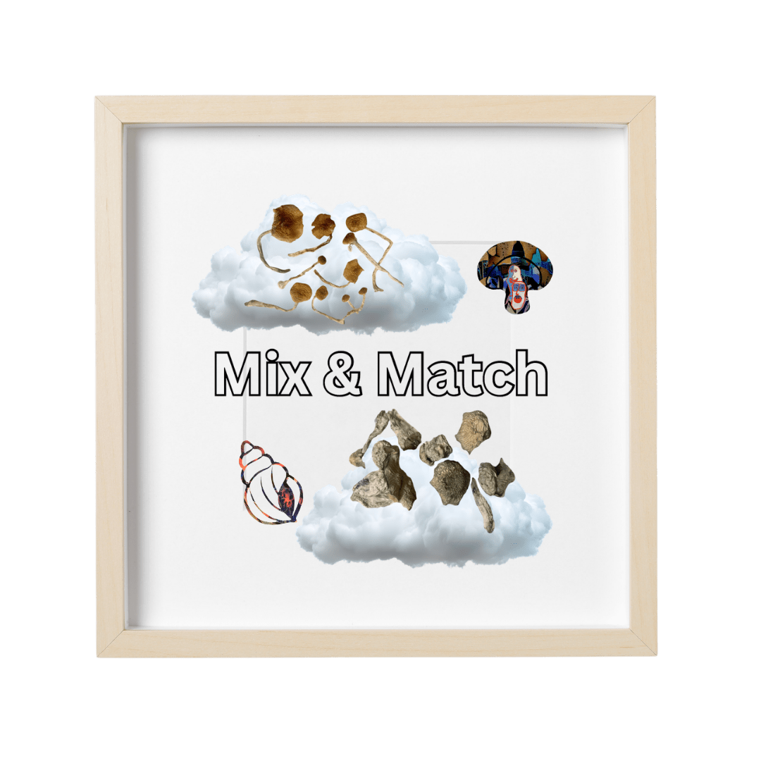 MIX &amp; MATCH | Digital Art x 2