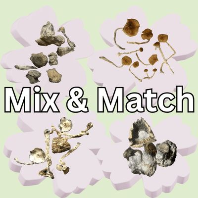 MIX &amp; MATCH | Digital Art x 4