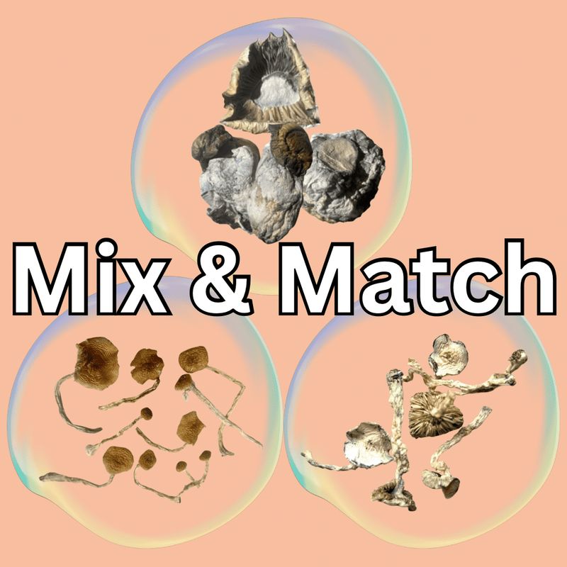MIX &amp; MATCH | Digital Art x 3