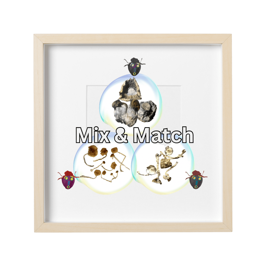 MIX &amp; MATCH | Digital Art x 3