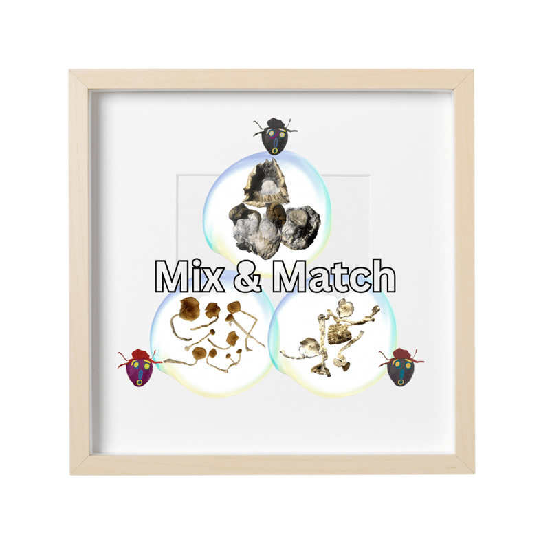 MIX &amp; MATCH | Digital Art x 3