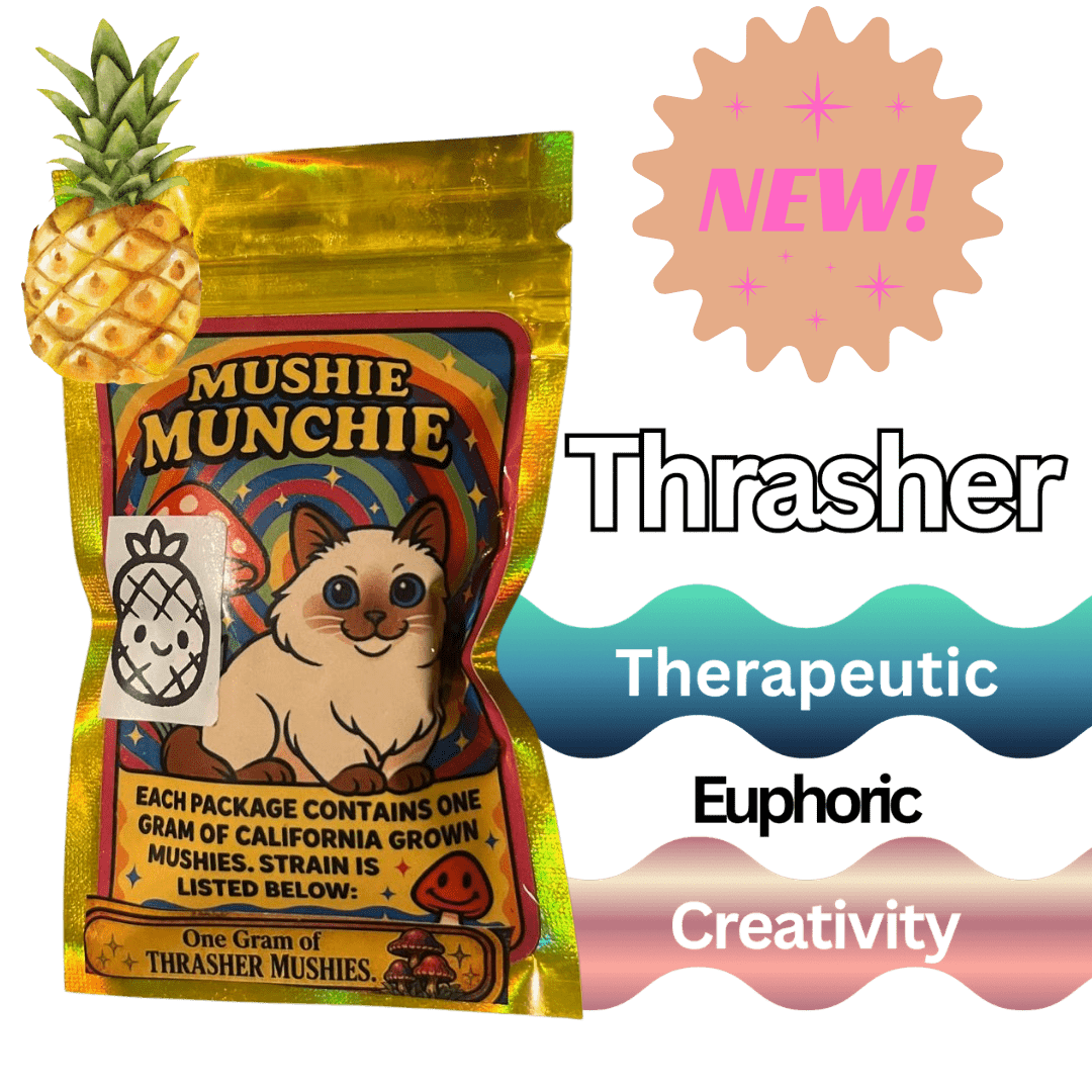 Mushie Munchie | 3 GUMMIES | Digital Art