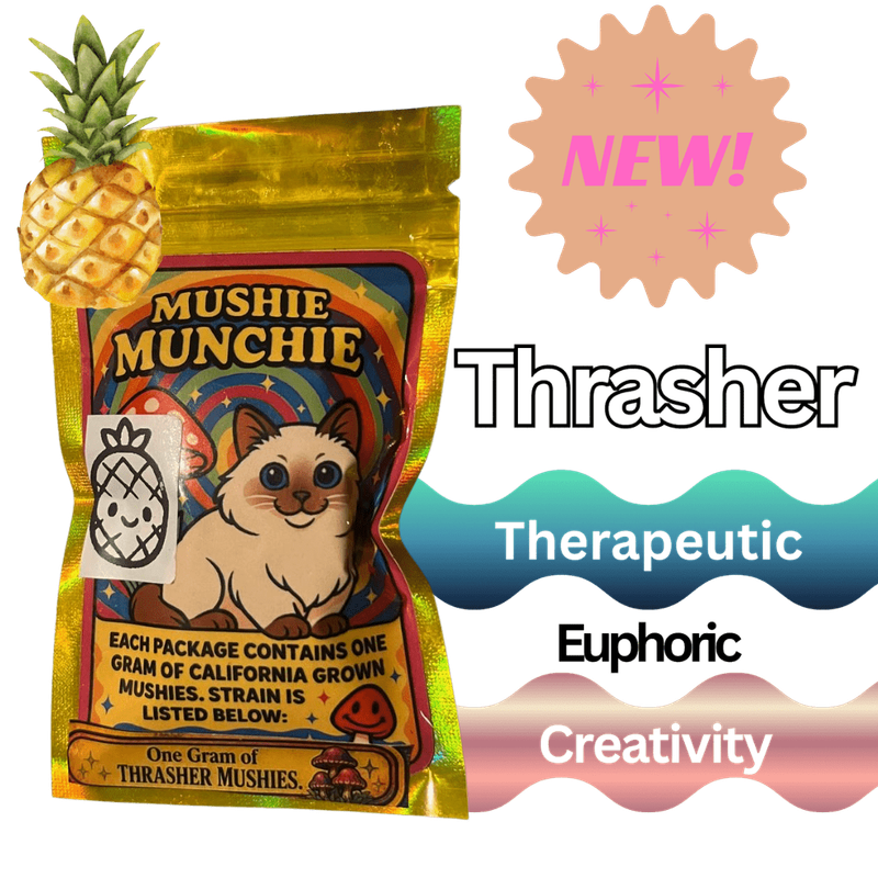 Mushie Munchie | 3 GUMMIES | Digital Art