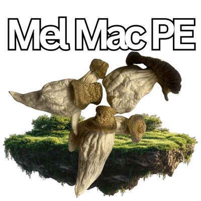 🎁MELMAC PE