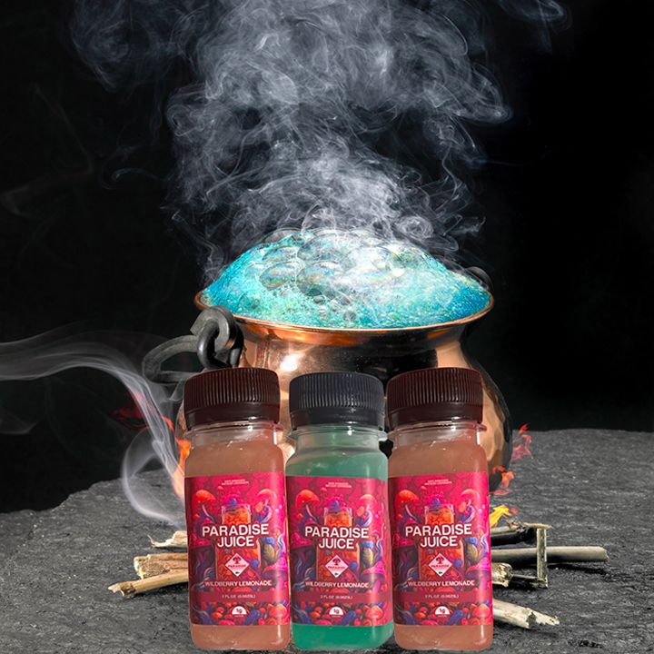 ParadiseFM | Mushroom Potions | Digital Art