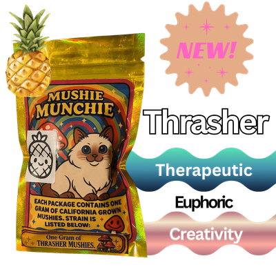Mushie Munchie Gummies | 5