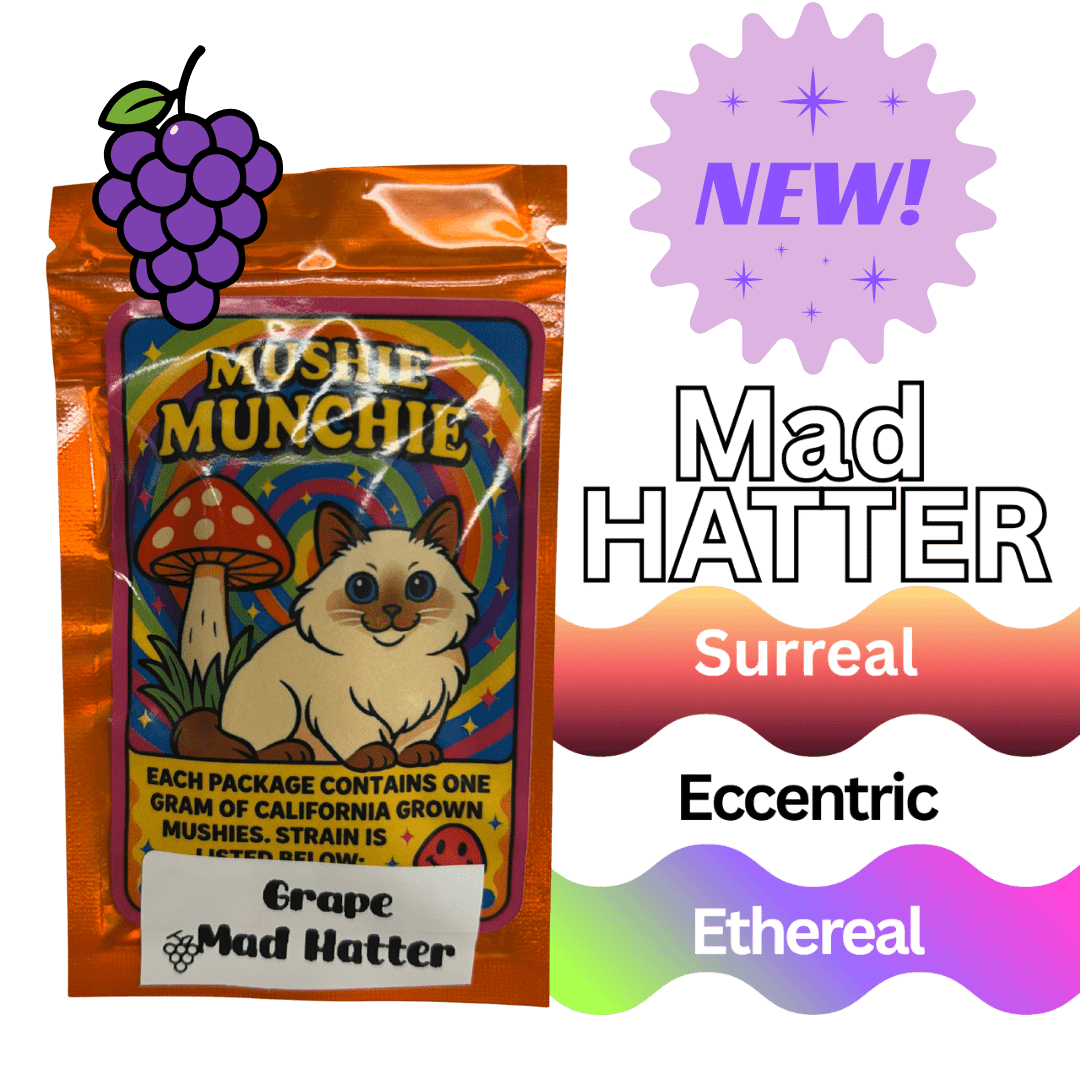 Mushie Munchie | 5 GUMMIES | Digital Art