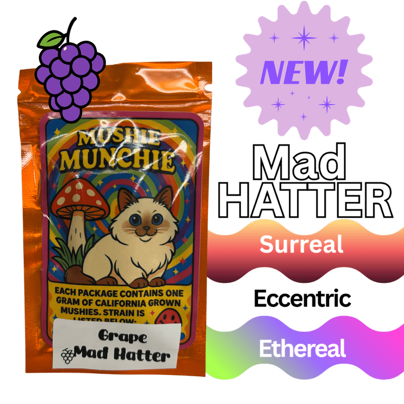 Mushie Munchie | 5 GUMMIES | Digital Art